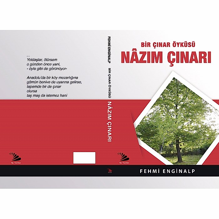 xexionara.online | Alp Dağıtım