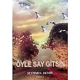 ÖYLE SAY GİTSİN