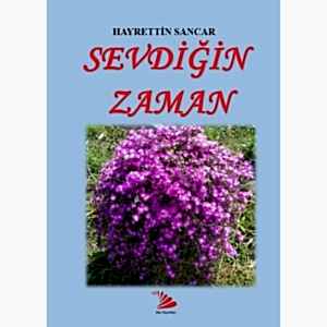 SEVDİĞİN ZAMAN